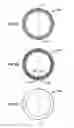 Fig. 09 - Metal expandable element back-up ring for high pressure/high temperature packer
