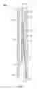 Fig. 05 - Lateral well drilling apparatus and method
