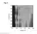 Fig. 06 - Photoresponsive ionic organic compound, method of producing the same, and photoresponsive carbon nanotube dispersant comprising said ionic organic compound