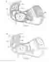 Fig. 06 - Knuckle formed without a finger core