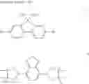 Fig. 125 - Macromolecular compound