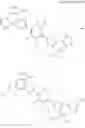 Fig. 155 - Macromolecular compound