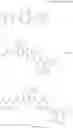 Fig. 172 - Macromolecular compound