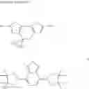 Fig. 92 - Macromolecular compound