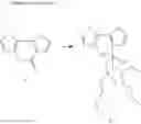 Fig. 93 - Macromolecular compound