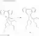 Fig. 94 - Macromolecular compound