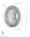 Fig. 02 - Motor having a cage wave stator winding