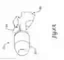 Fig. 11 - Brush holder apparatus, brush assembly, and method