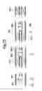 Fig. 23 - Transducer