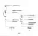 Fig. 04 - Lighting device and luminaire
