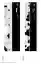 Fig. 03 - Flow channel structure, method of manufacturing same, and liquid ejection head
