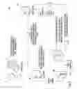 Fig. 02 - Print management system for retaining documents with multiple users identifications