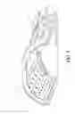 Fig. 05 - LED area light fixture