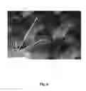 Fig. 10 - Signaling system having improved contrast ration