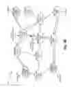 Fig. 09 - Multicast fast re-route