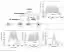 Fig. 01 - Methods and systems for coherent multi-subcarrier source generation