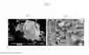 Fig. 07 - Method for extracting rare earth material from monazite