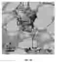 Fig. 06 - Carbon nanostructures from pyrolysis of organic materials