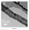 Fig. 07 - Carbon nanostructures from pyrolysis of organic materials