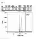 Fig. 07 - Tetraaza macrocyclic compound, preparation method thereof and use thereof