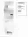 Fig. 07 - Disulfide-linked polyethyleneglycol/peptide conjugates for the transfection of nucleic acids