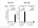 Fig. 06 - NUCLEIC ACID SEQUENCES ENCODING EXPANDABLE HIV MOSAIC PROTEINS