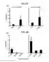 Fig. 07 - NUCLEIC ACID SEQUENCES ENCODING EXPANDABLE HIV MOSAIC PROTEINS