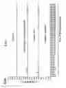 Fig. 09 - NUCLEIC ACID SEQUENCES ENCODING EXPANDABLE HIV MOSAIC PROTEINS