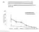 Fig. 08 - Process for producing influenza vaccine