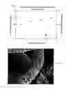 Fig. 08 - BIODEGRADABLE FIBER AND FIBER WADDING FOR FILLING BONE DEFECTS AND METHOD FOR PRODUCING THE SAME