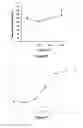 Fig. 08 - Polymer conjugated protein micelles