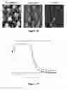 Fig. 12 - Polymer conjugated protein micelles