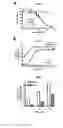 Fig. 02 - Novel Antiviral Agents for Enveloped Viruses