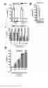 Fig. 09 - Novel Antiviral Agents for Enveloped Viruses