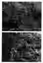 Fig. 01 - Fast dissolving solid dosage form
