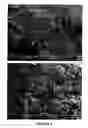 Fig. 02 - Fast dissolving solid dosage form