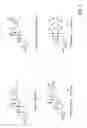 Fig. 05 - ANTI-NEOPLASTIC COMPOSITIONS COMPRISING EXTRACTS OF BLACK COHOSH