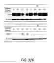 Fig. 50 - ANTI-NEOPLASTIC COMPOSITIONS COMPRISING EXTRACTS OF BLACK COHOSH