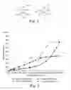 Fig. 02 - Methods of surface treating porous particles