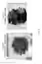 Fig. 12 - Co-curable, conductive surfacing films for lightning strike and electromagnetic interference shielding of thermoset composite materials