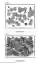 Fig. 02 - CONDUCTIVE METAL PASTE COMPOSITION AND METHOD OF MANUFACTURING THE SAME
