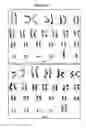 Fig. 08 - MYH14 AS CAUSATIVE GENE RESPONSIBLE FOR COMPLEX PHENOTYPE OF PERIPHERAL NEUROPATHY, MYOPATHY, HEARING LOSS AND HOARSENESS, AND DIAGNOSTIC METHOD AND KIT FOR THE COMPLEX PHENOTYPE USING THE SAME