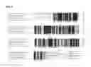 Fig. 06 - USE OF SINGLE-STRANDED BINDING PROTEIN IN AMPLIFYING TARGET NUCLEIC ACID