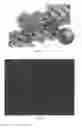 Fig. 02 - Application of quantum dots for nuclear staining
