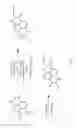 Fig. 07 - Application of quantum dots for nuclear staining