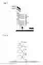 Fig. 03 - Genotyping of N loci in a target nucleic acid molecule