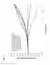 Fig. 08 - Genotyping of N loci in a target nucleic acid molecule