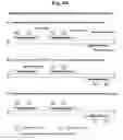 Fig. 09 - Detection of target nucleic acid using a target hybridization and detection primer