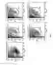Fig. 08 - Human embryonic stem cell methods and PODXL expression