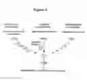 Fig. 06 - MASP 2, a complement-fixing enzyme, and uses for it